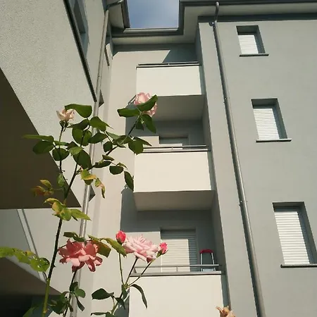 Maison De Carmen * Abbadia Lariana